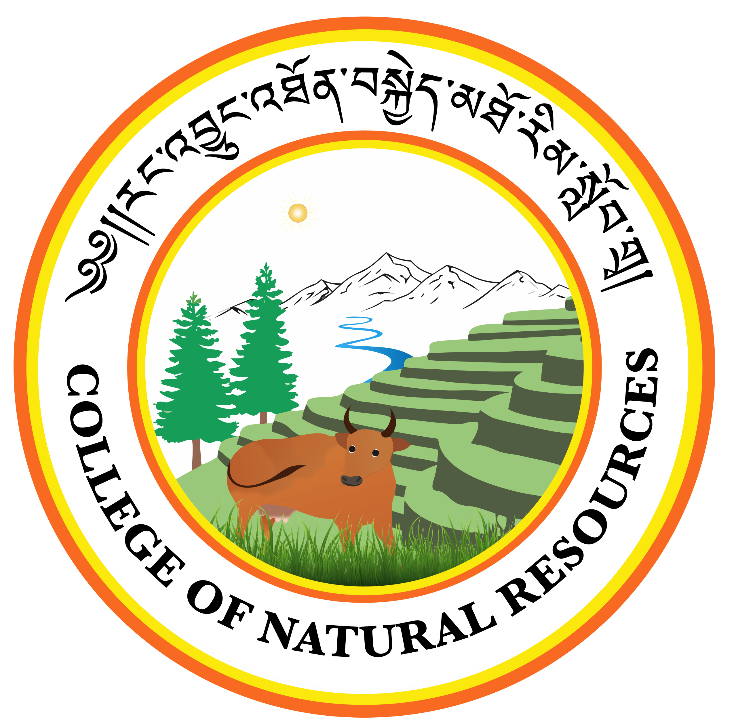 cnr logo